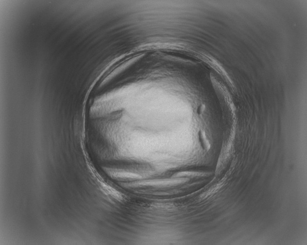 X0000076070844200610061600