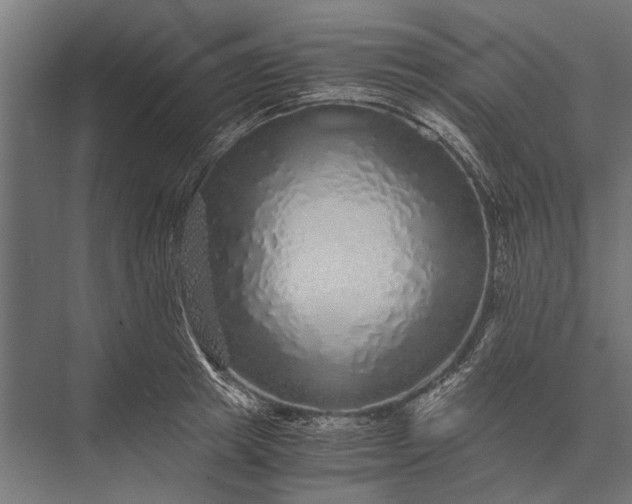 X0000076070849200610061600