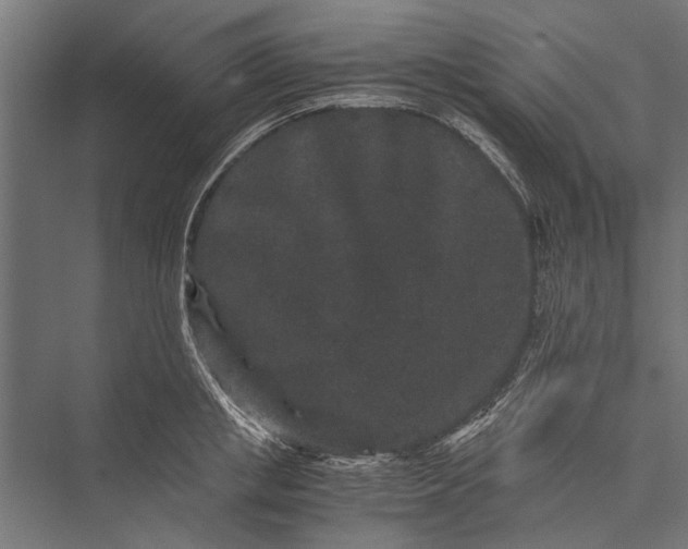 X0000076070853200610061600