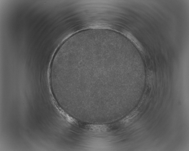 X0000076070856200610061600