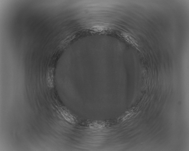 X0000076070868200610061559
