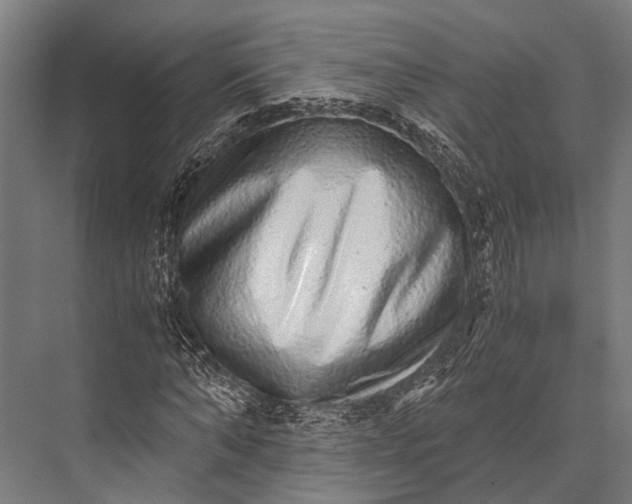 X0000076070870200610061559