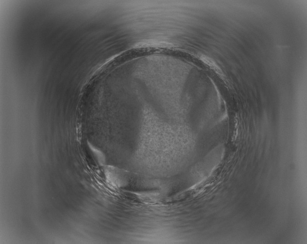 X0000076070872200610061559