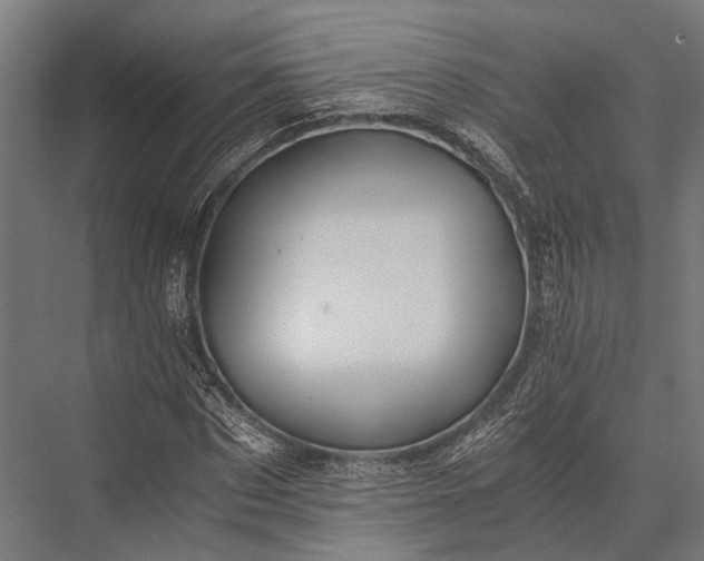 X0000076070873200610061559