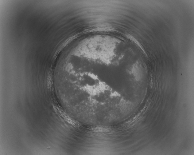 X0000076070874200610061559