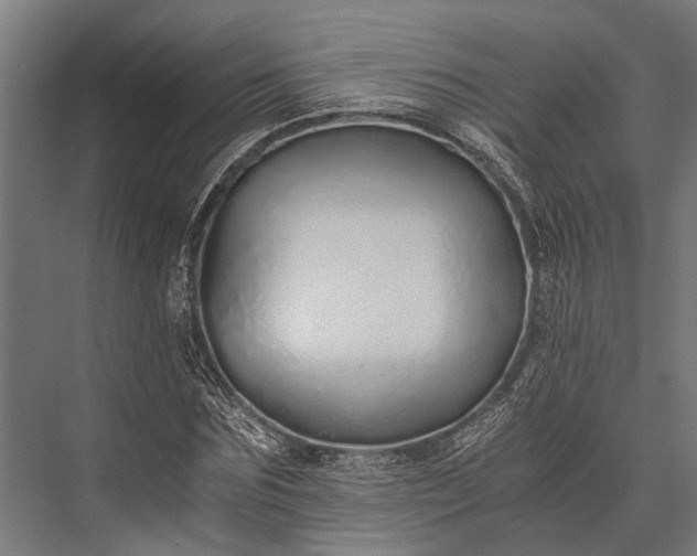 X0000076070875200610061559