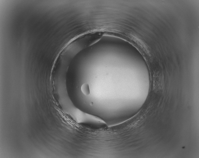 X0000076070876200610061559