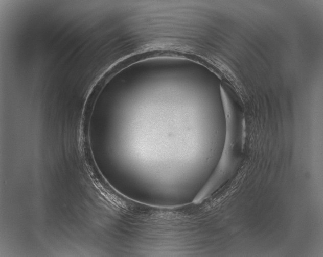 X0000076070880200610061559