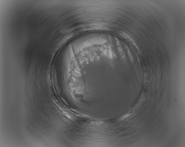 X0000076070882200610061559