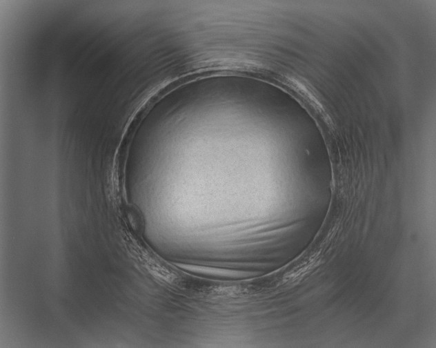 X0000076070883200610061559