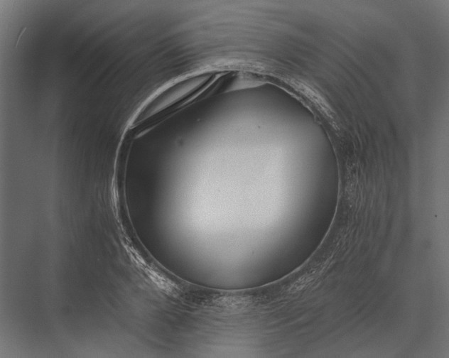 X0000076070888200610061559