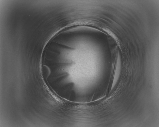 X0000076070894200610061559