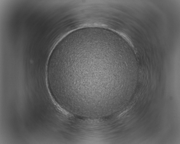 X0000076070895200610061559