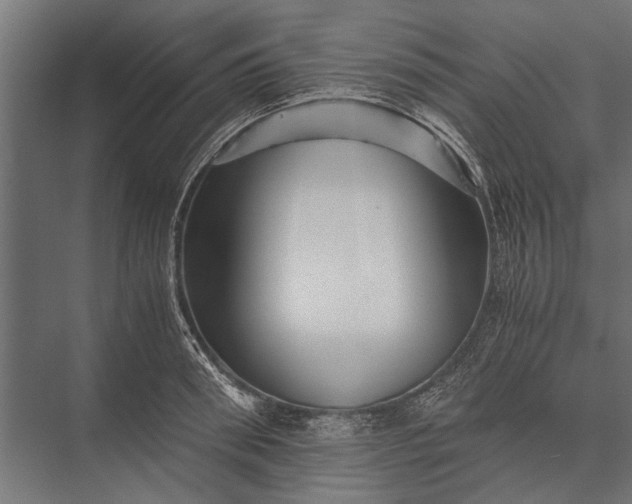 X0000076070898200610061559