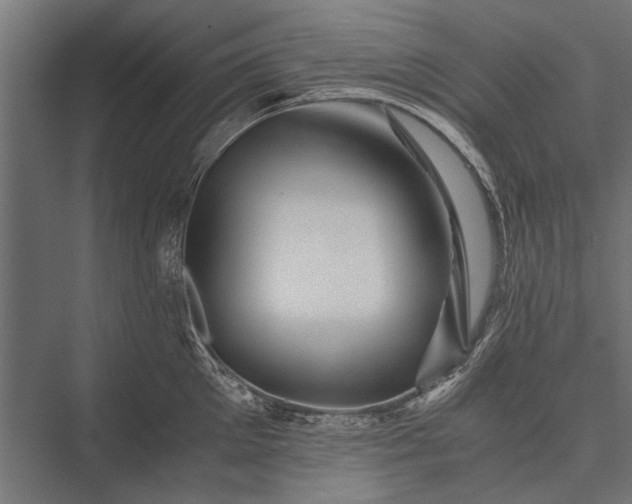 X0000076070905200610061559