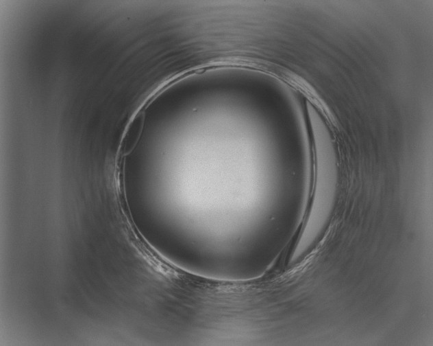 X0000076070908200610061559