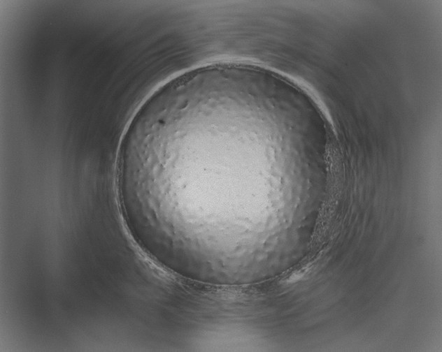 X0000076070911200610061559