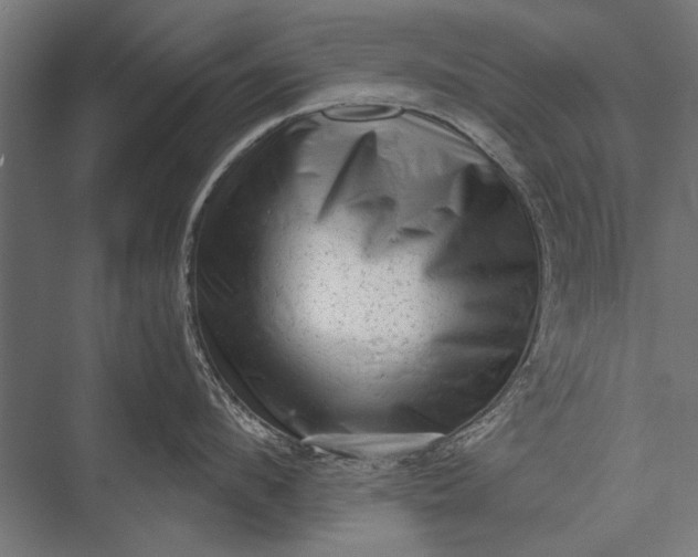 X0000076070912200610061559