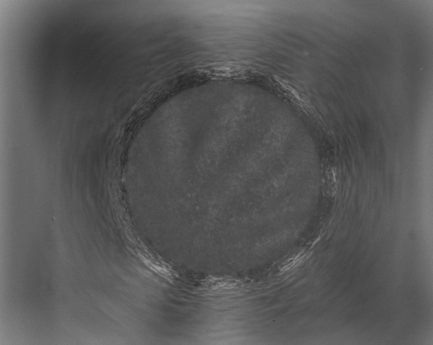 X0000076070913200610061558