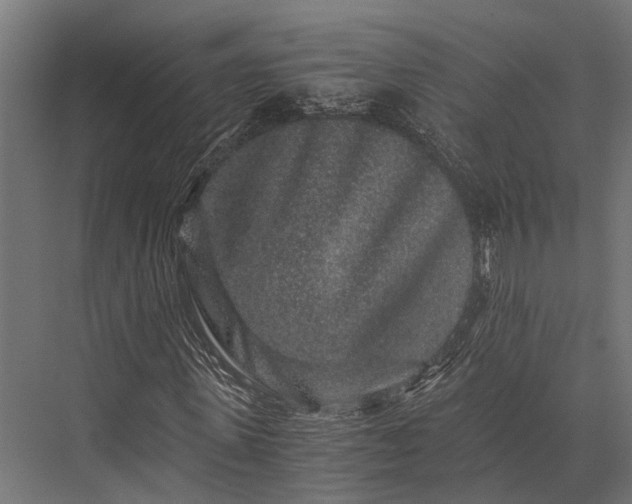 X0000076070915200610061558