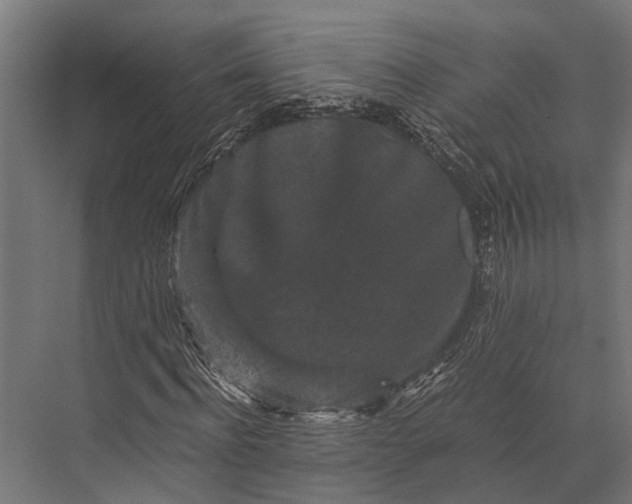 X0000076070916200610061558