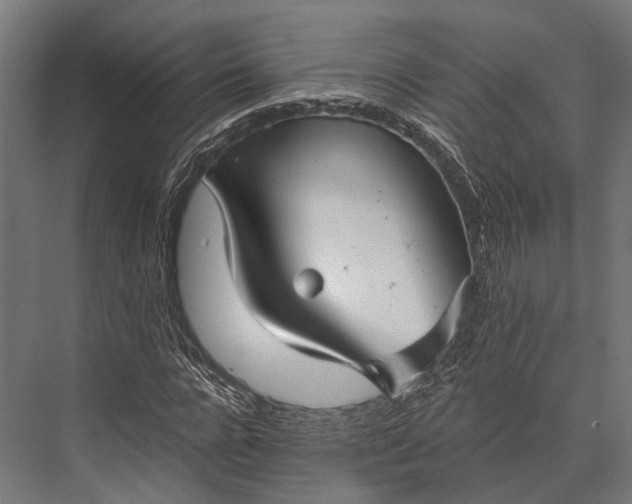 X0000076070920200610061558