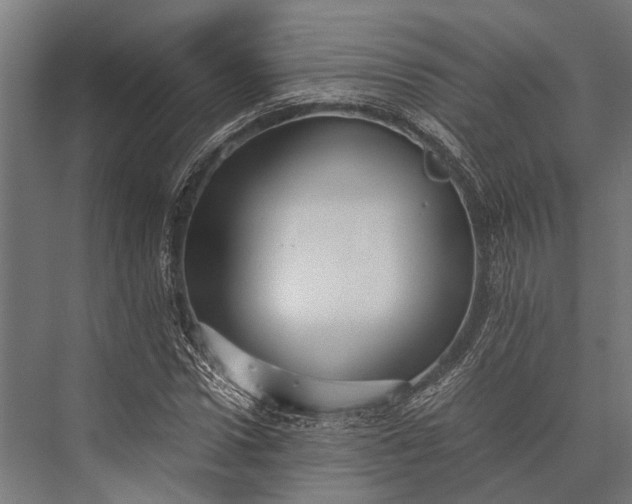 X0000076070922200610061558