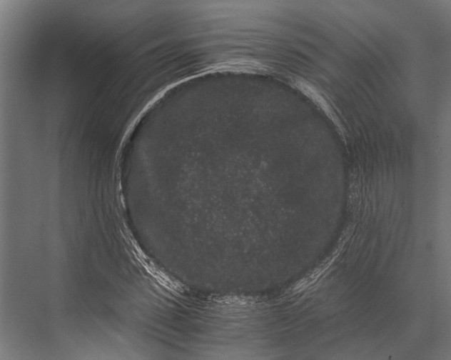 X0000076070923200610061558
