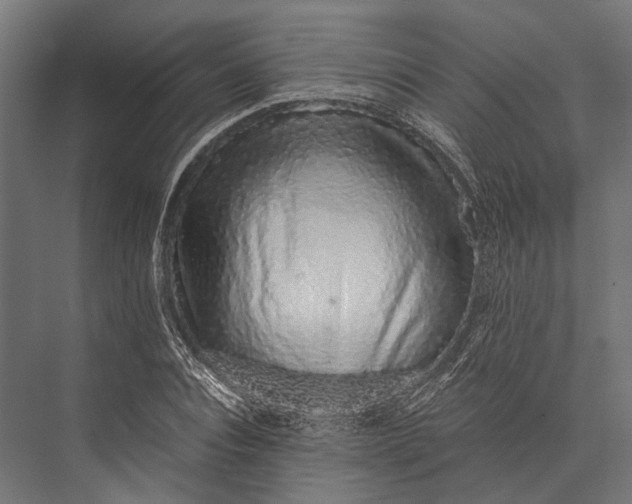 X0000076070928200610061558