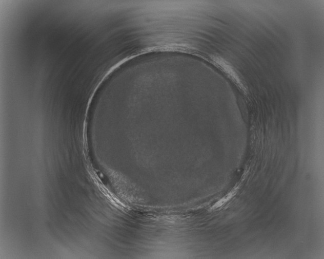 X0000076070932200610061558
