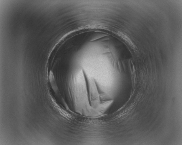 X0000076070934200610061558