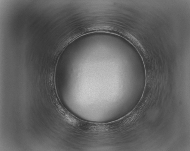 X0000076070937200610061558
