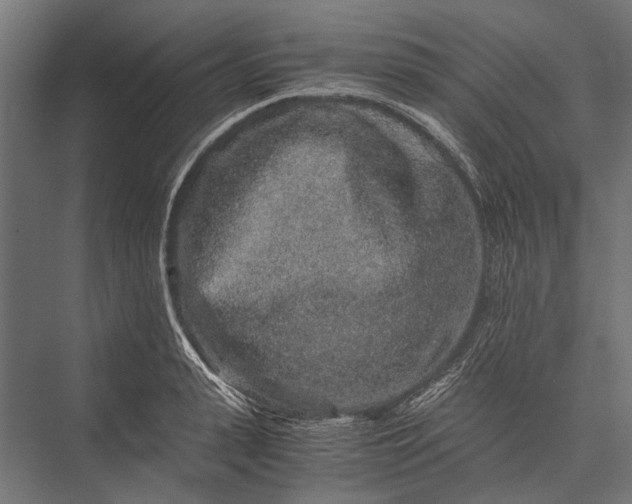 X0000076070943200610061558