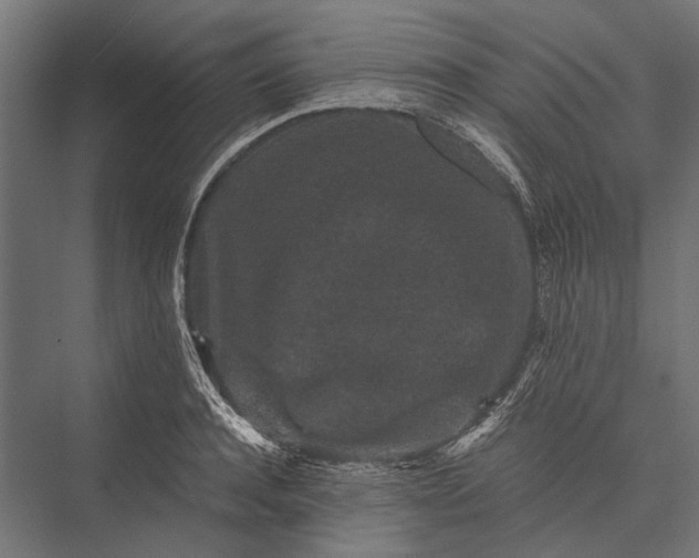 X0000076070944200610061558