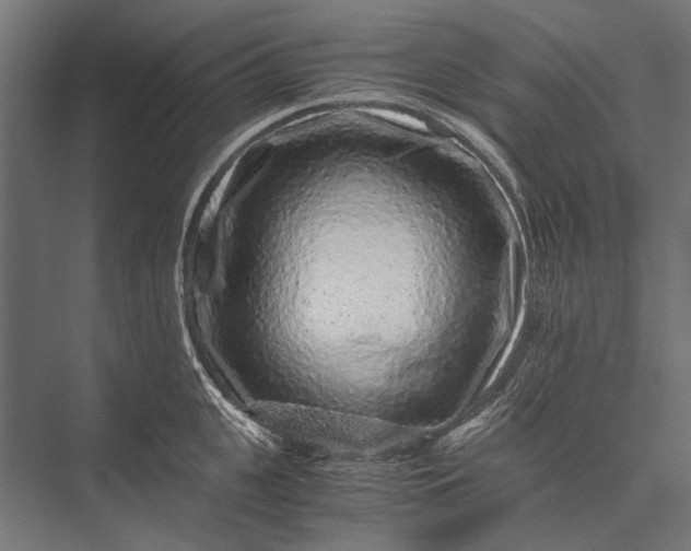 X0000076070951200610061558