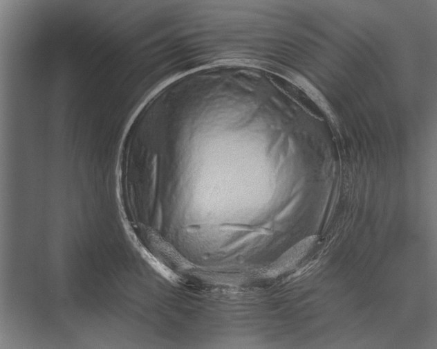 X0000076070955200610061558