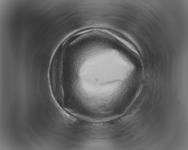 X0000076070959200610061559