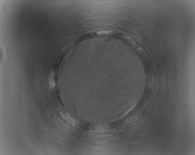 X0000076070962200610061558