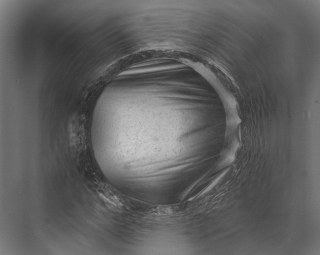 X0000076070968200610061558