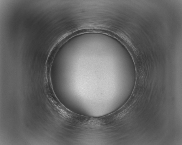 X0000076070974200610061558