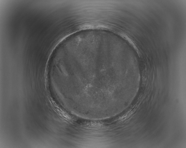 X0000076070975200610061558