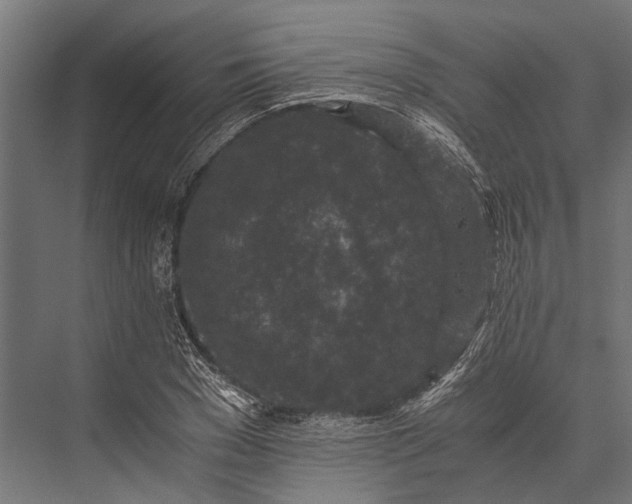 X0000076070977200610061558