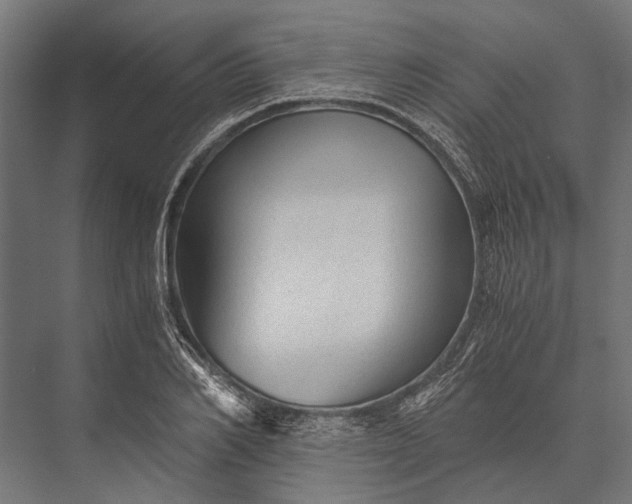 X0000076070982200610061557