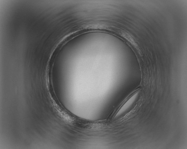 X0000076070984200610061557