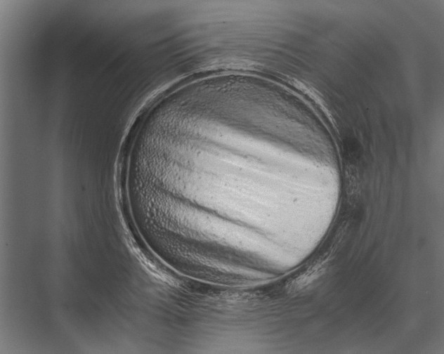 X0000076070987200610061557