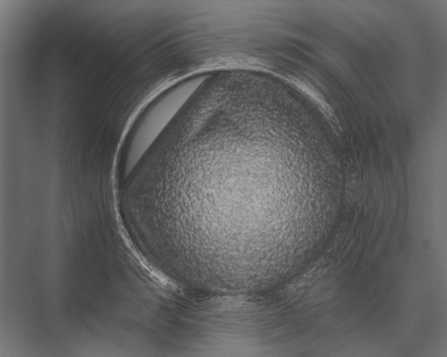 X0000076070990200610061557