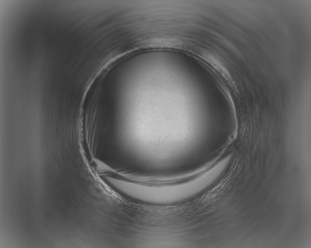 X0000076070992200610061557