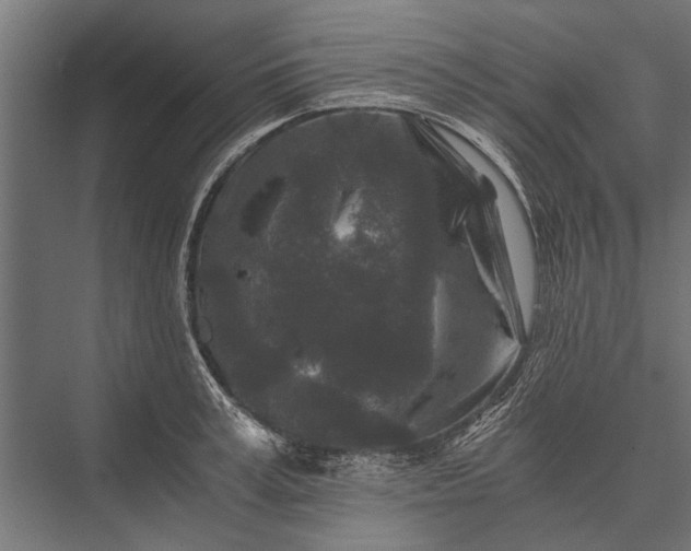 X0000076070995200610061557