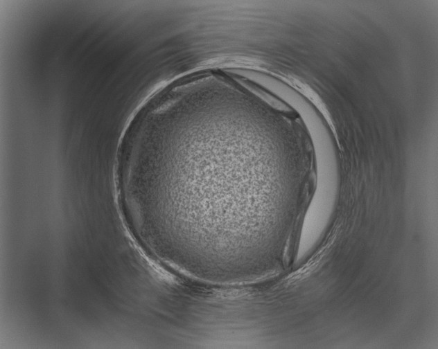 X0000076070997200610061557