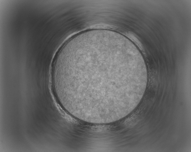 X0000076071000200610061557